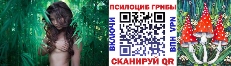 Псилоцибиновые грибы GOLDEN TEACHER  блэк спрут tor  Удомля 